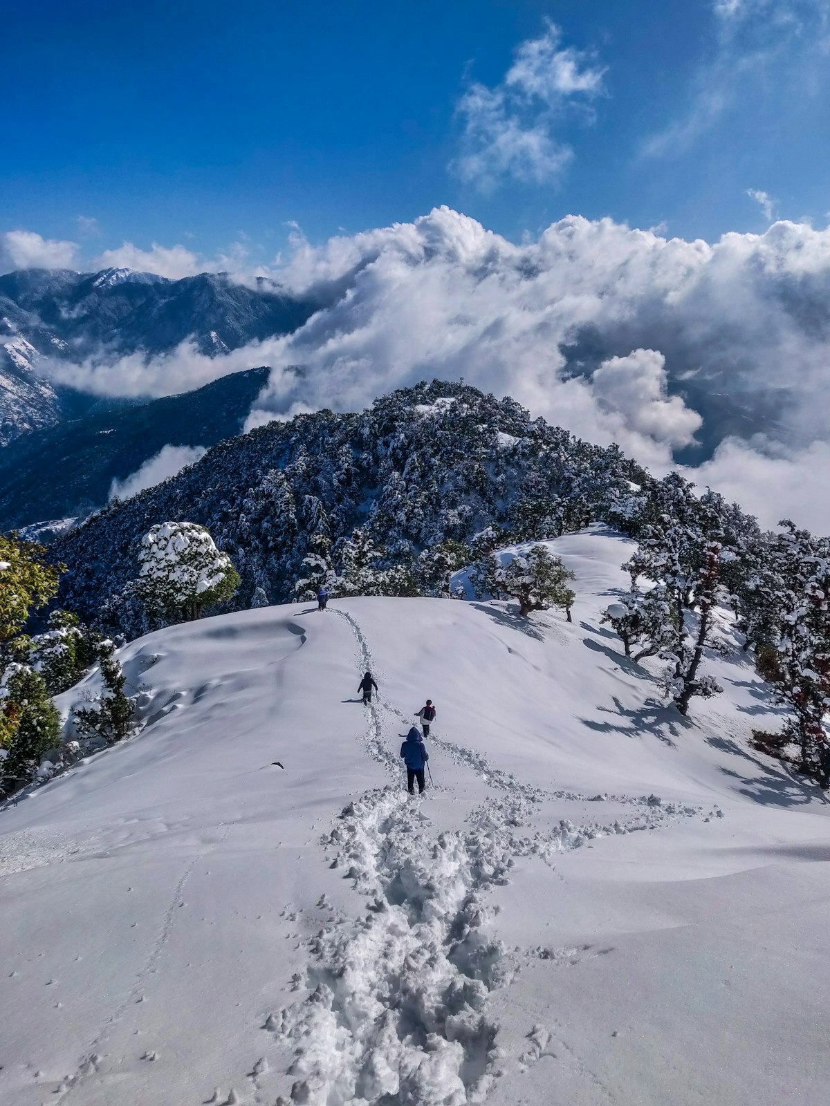 Uttarakhand tour packages